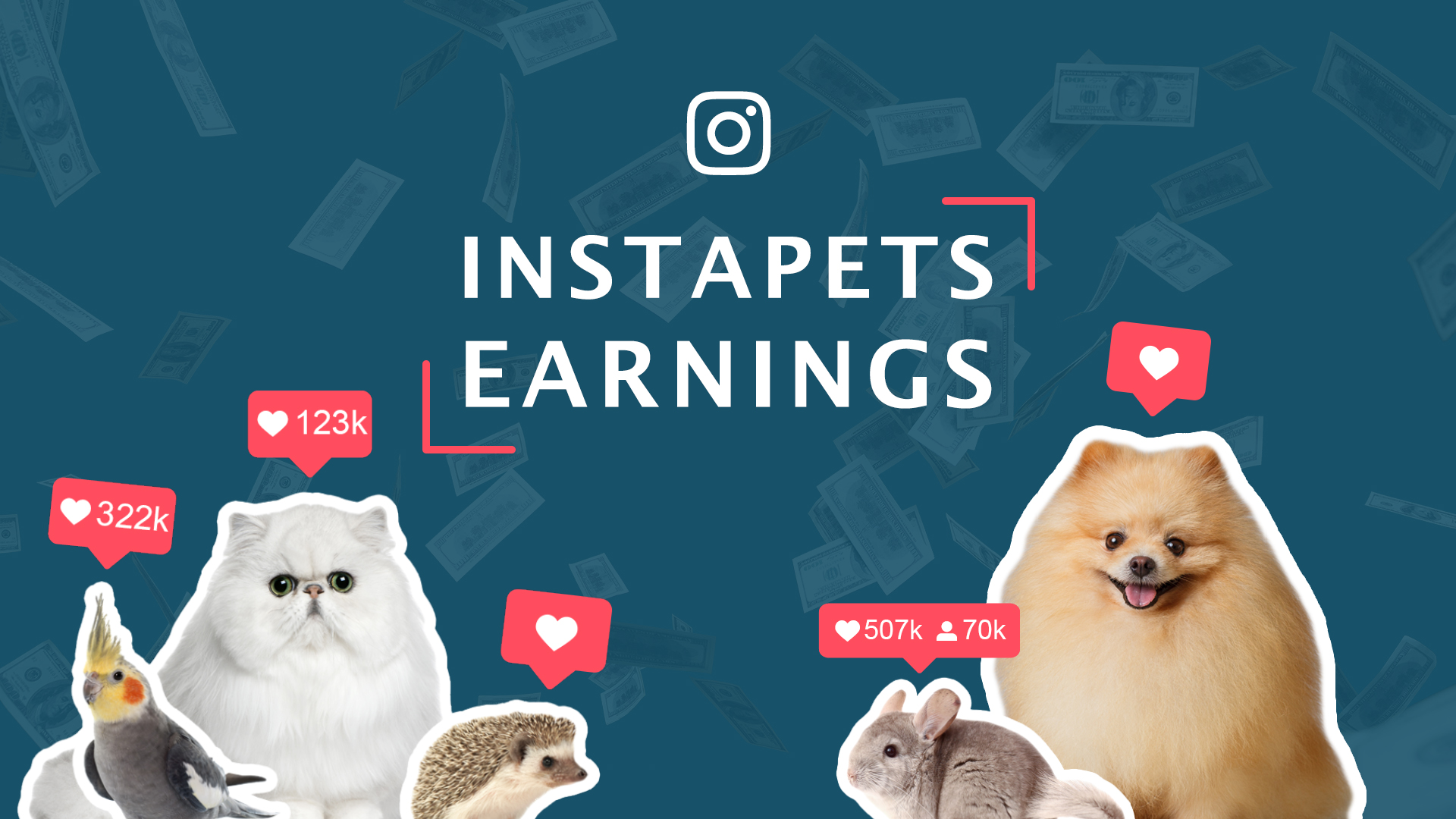 Pets Earning the Most on Instagram